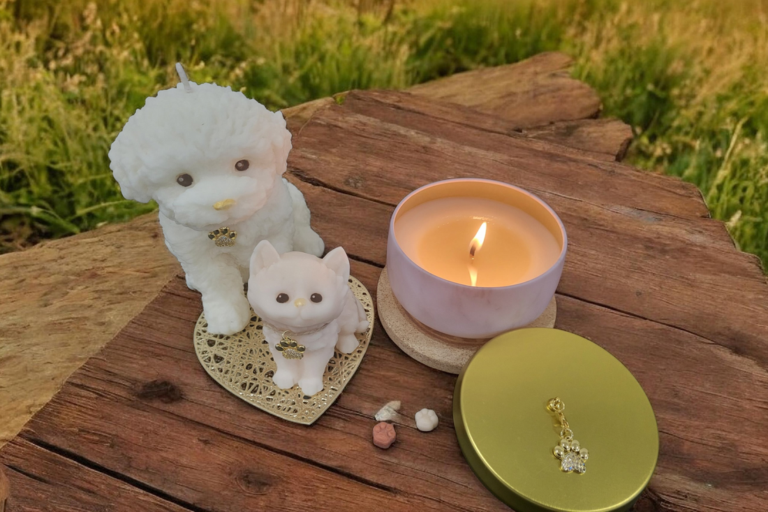 “What to Give Someone Who Lost a Pet | Pet Memorial Gift Ideas”