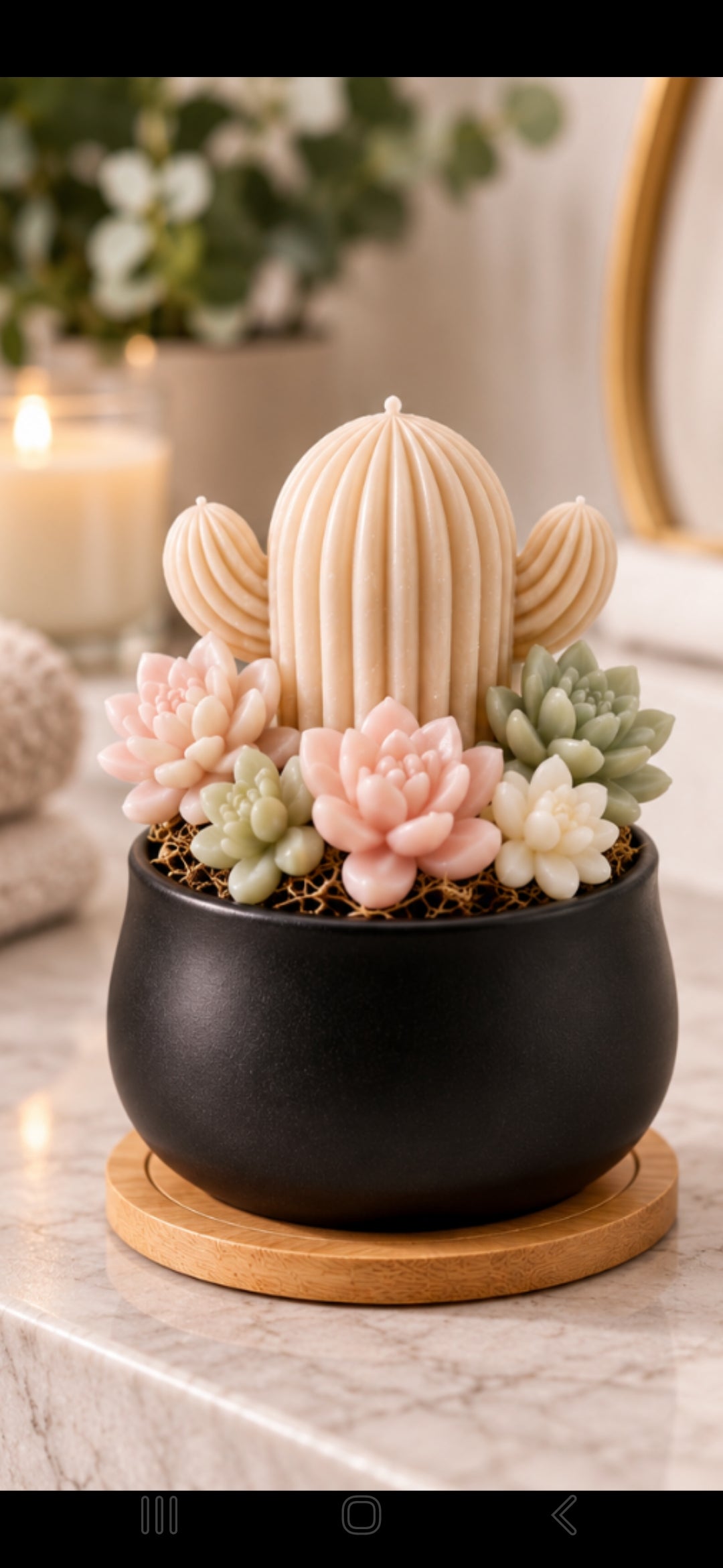 Scented Succulent Garden