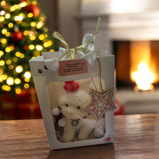 HOLIDAY PAWS COLLECTION