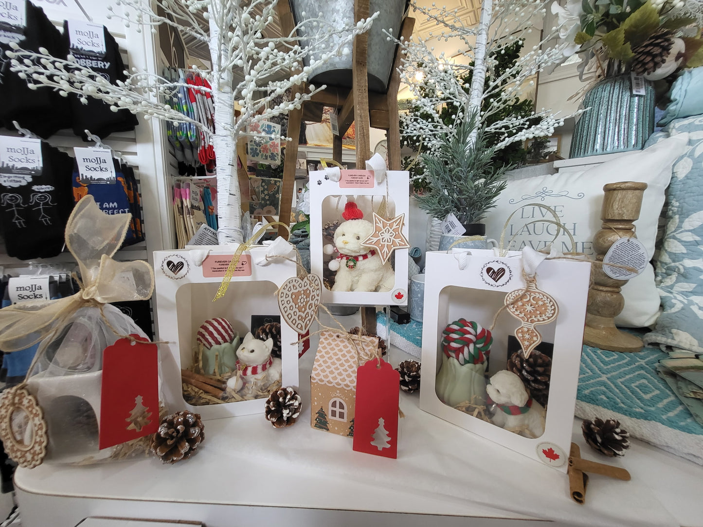 HOLIDAY PAWS COLLECTION