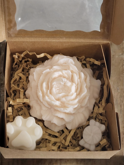 CANDLE & MELT GLOW BOX