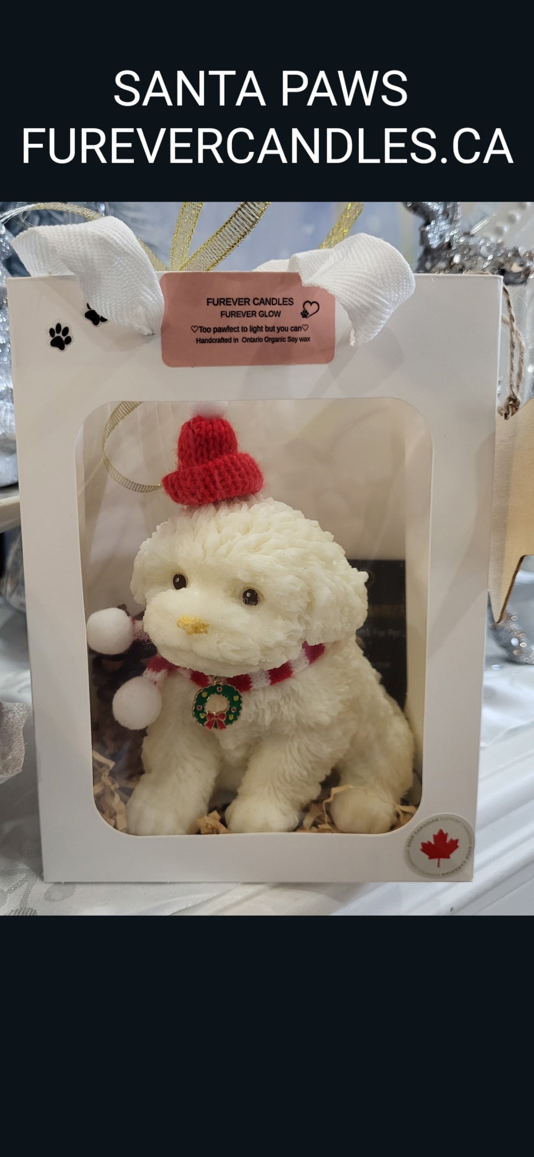 HOLIDAY PAWS COLLECTION