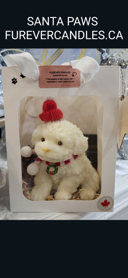 HOLIDAY PAWS COLLECTION