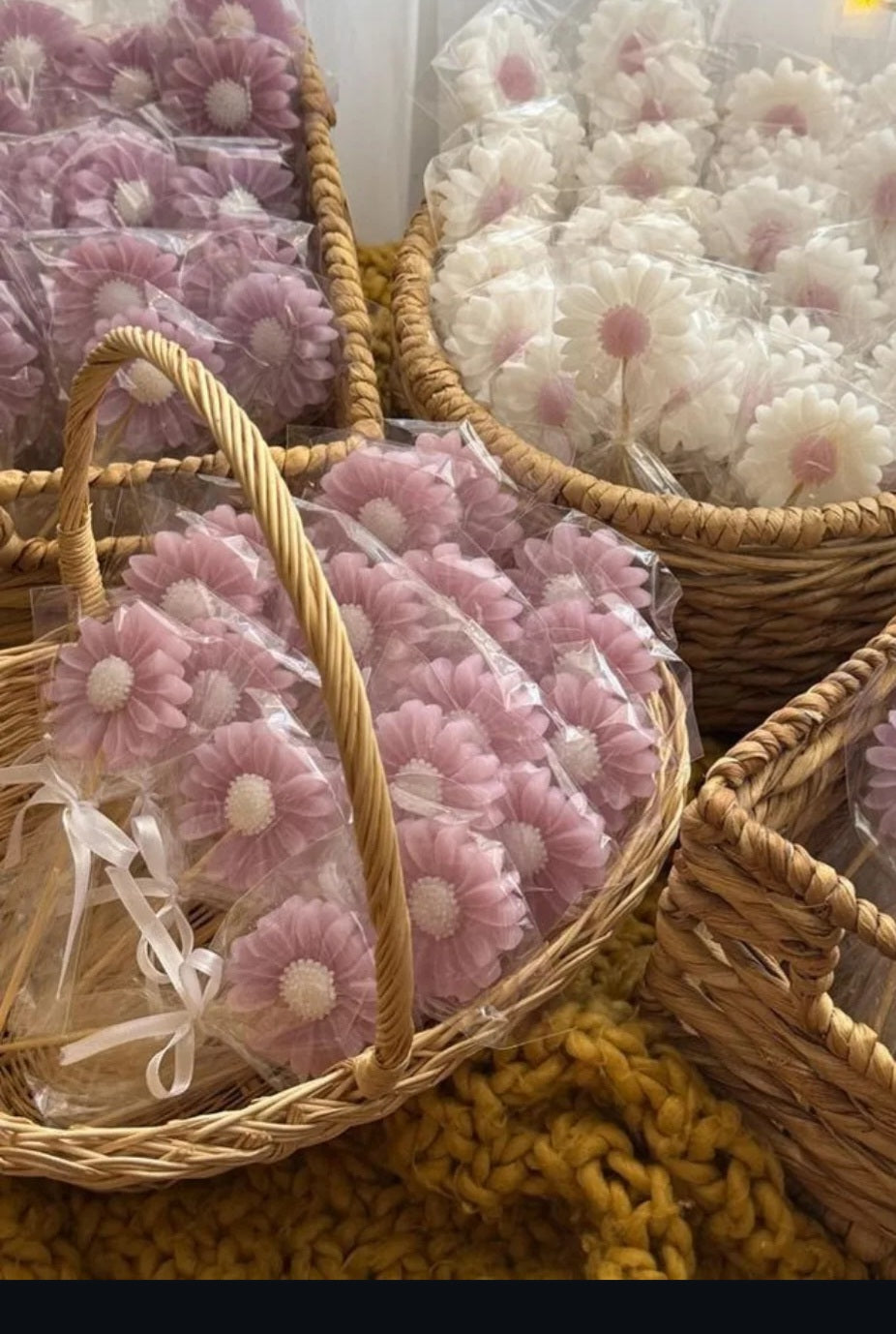 Party & Event Favors