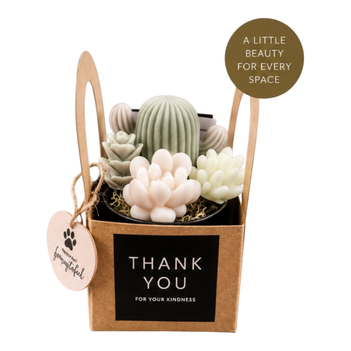 Scented Succulent Garden