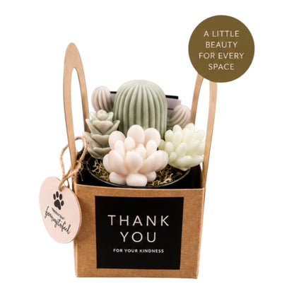 Scented Succulent Garden