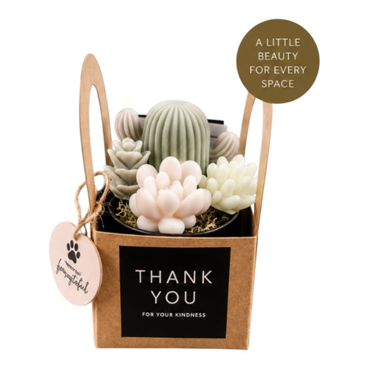 Scented Succulent Garden