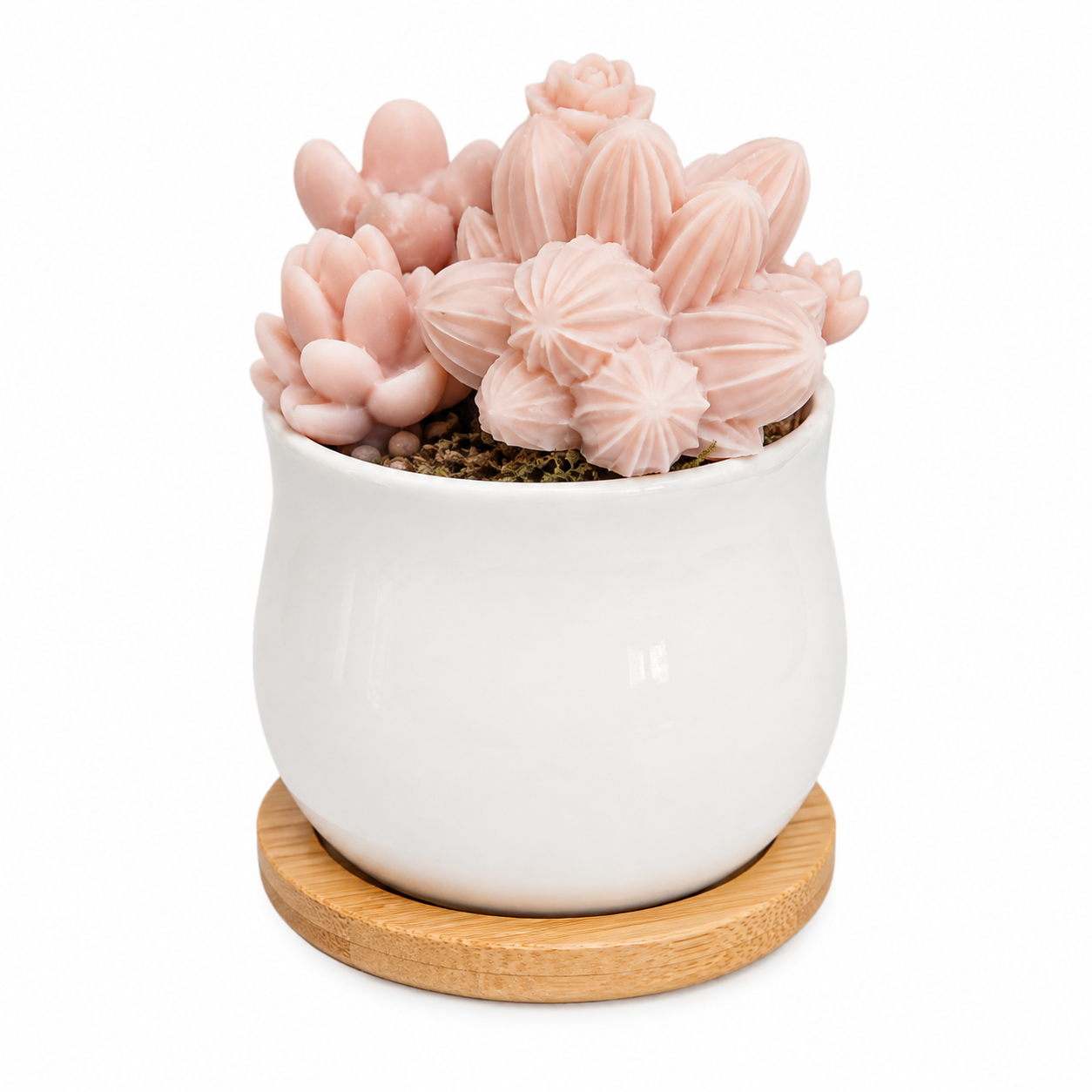 Scented Succulent Garden