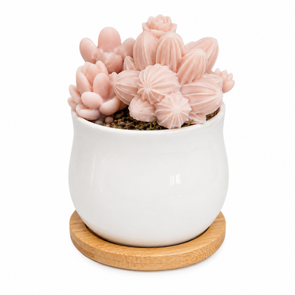 Scented Succulent Garden