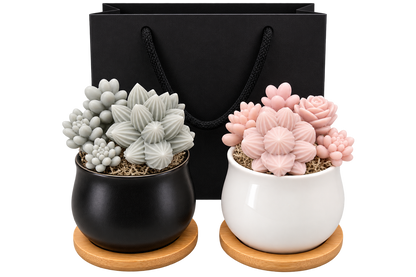 Scented Succulent Garden