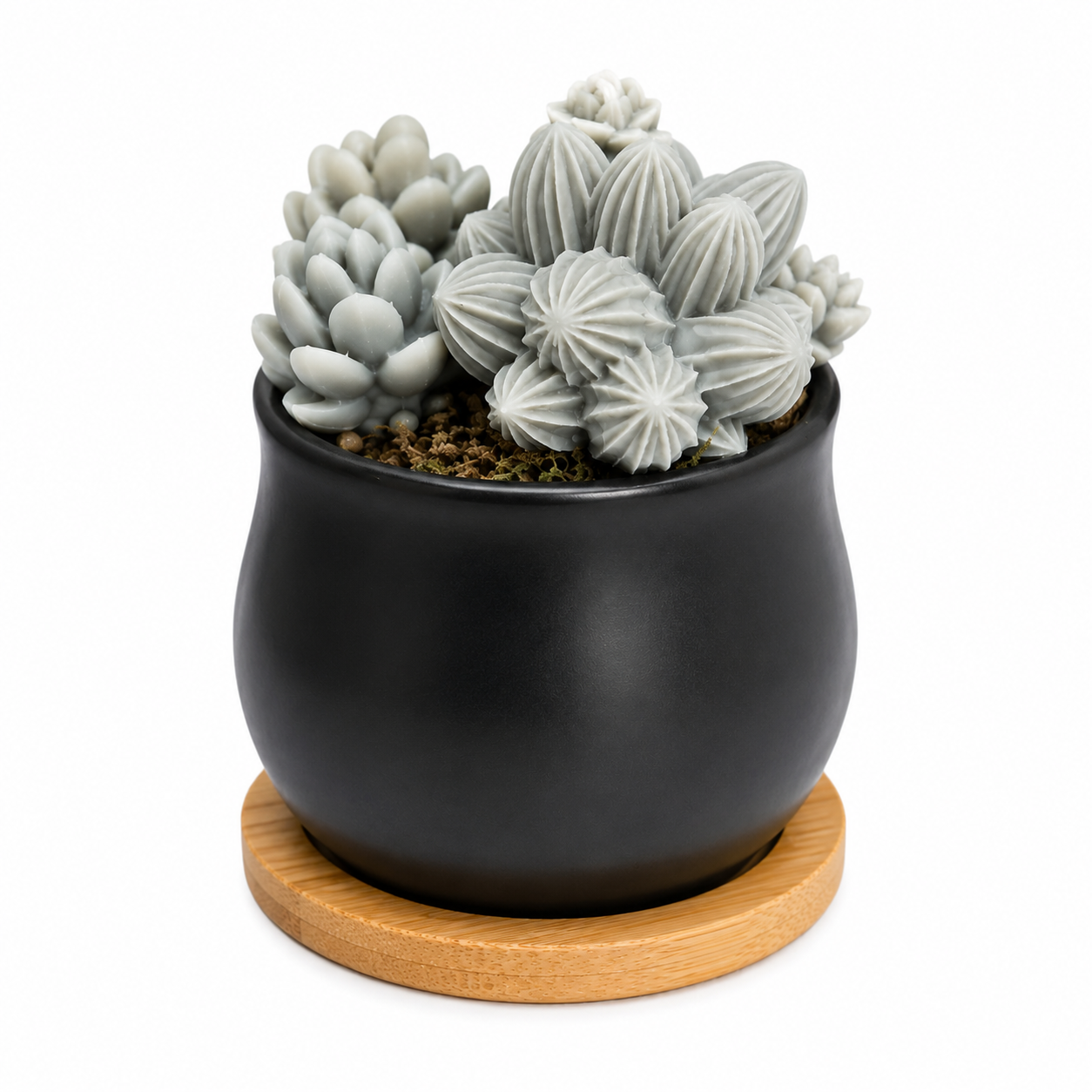 Scented Succulent Garden
