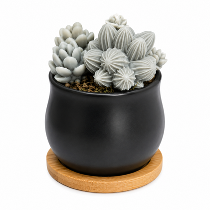 Scented Succulent Garden